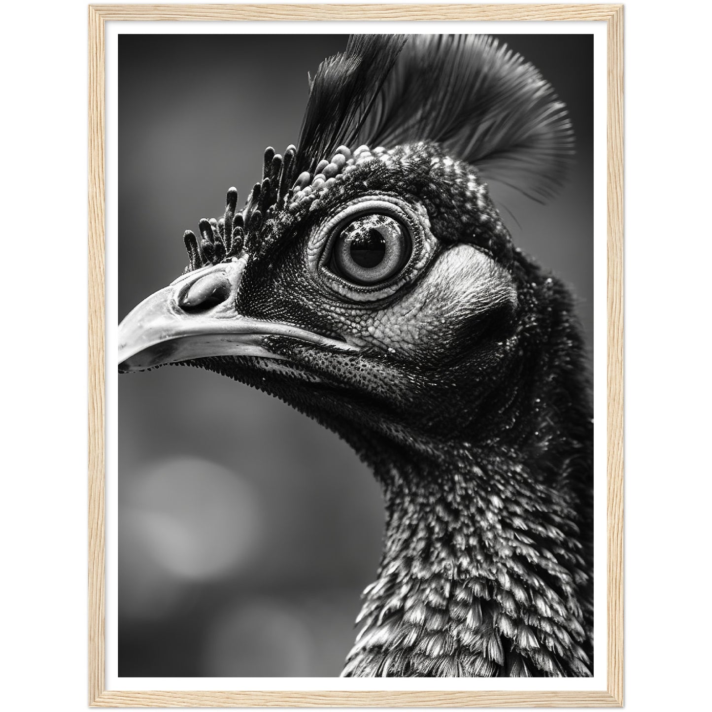 Peacock Perfection Photograph Wall Art Print