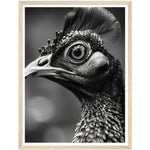 Load image into Gallery viewer, Peacock Perfection Photograph Wall Art Print