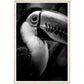 Toucan's Gaze Photograph Wall Art Print