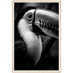 Load image into Gallery viewer, Toucan&#39;s Gaze Photograph Wall Art Print