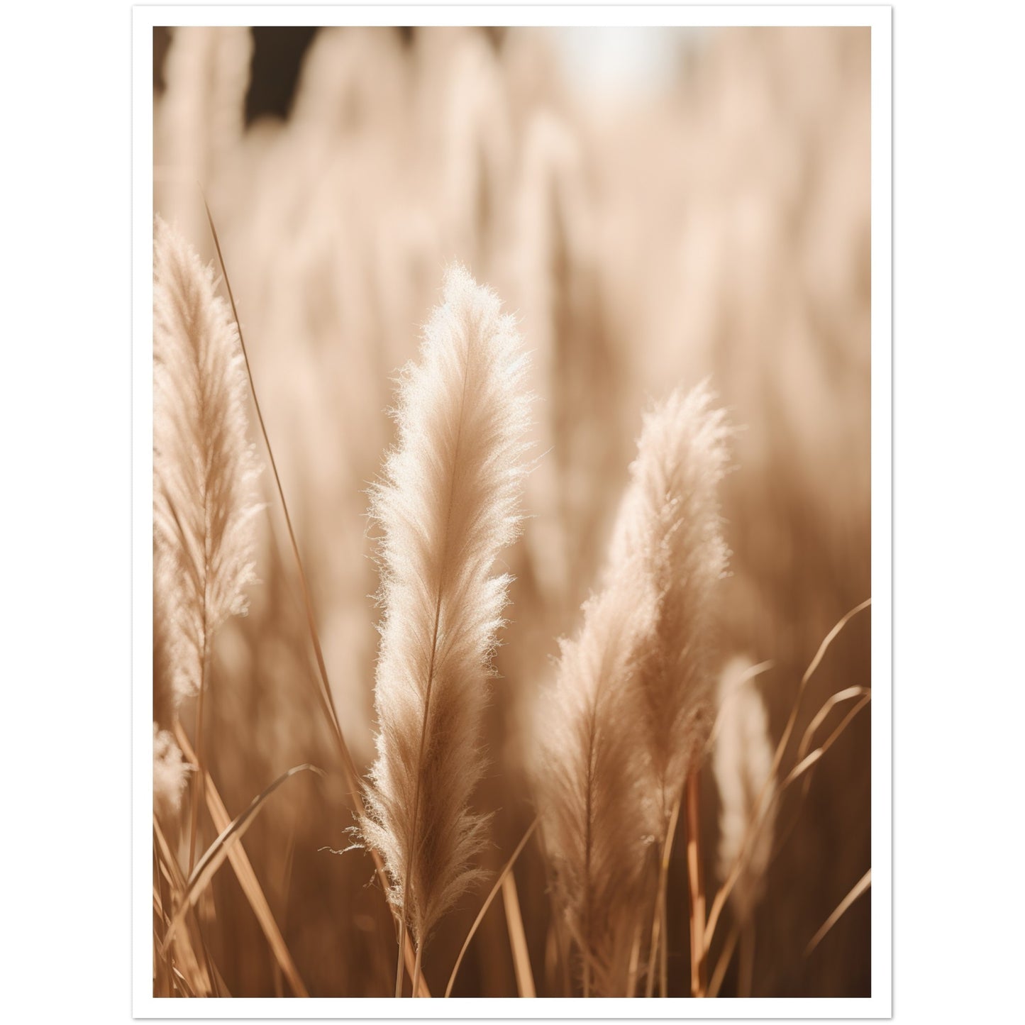 Hazy Pampas Close-Up Photograph Wall Art Print