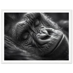Load image into Gallery viewer, Close-Up of Sleeping Gorilla Photograph Wall Art Print
