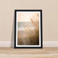 Hazy Beach Grass Close-Up Photograph Wall Art Print