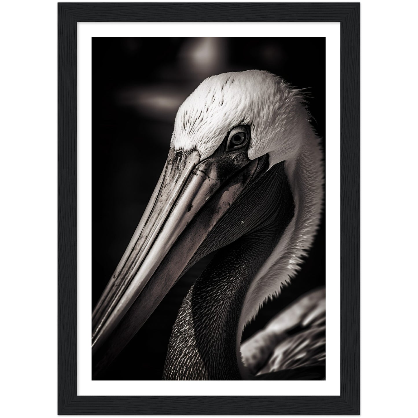 Close-up Pelican Photograph Wall Art Print