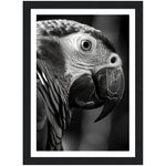Load image into Gallery viewer, Eagle Photograph Feathered Majesty Wall Art Print