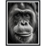 Load image into Gallery viewer, Wild Eyes Orangutan Photograph Wall Art Print