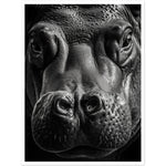 Load image into Gallery viewer, Close-Up Hippo Photograph Wall Art Print
