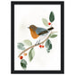 Pretty Perched Robin Wall Art Print