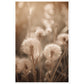 Hazy Dandelion Dreams Close-Up Photograph Wall Art Print