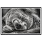 Close-Up of Sleeping Koala Photograph Wall Art Print