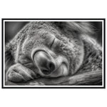 Load image into Gallery viewer, Close-Up of Sleeping Koala Photograph Wall Art Print
