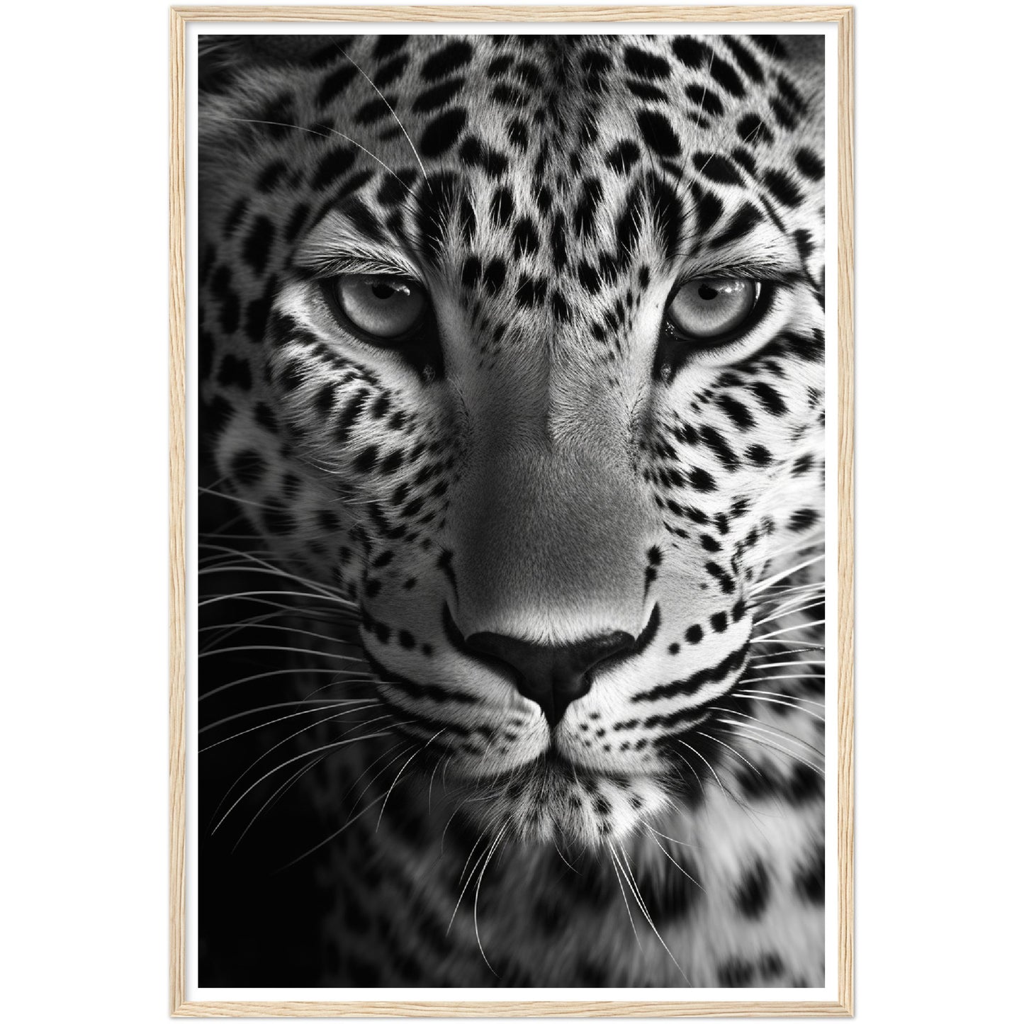 Leopard's Gaze Photograph Wall Art Print