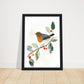 Pretty Perched Robin Wall Art Print