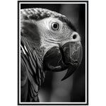 Load image into Gallery viewer, Eagle Photograph Feathered Majesty Wall Art Print