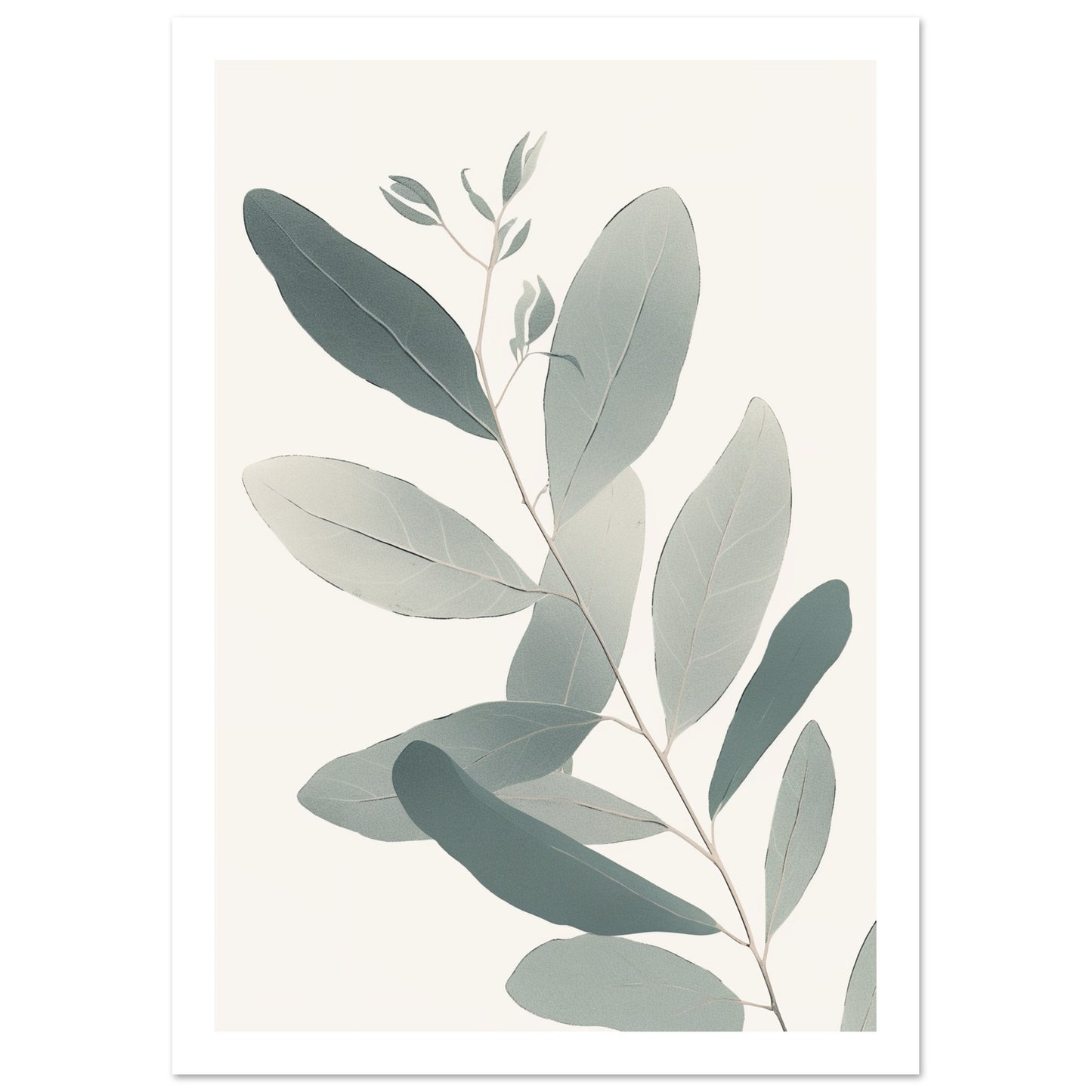 Soft Colored Eucalyptus Illustration