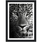 Leopard's Gaze Photograph Wall Art Print