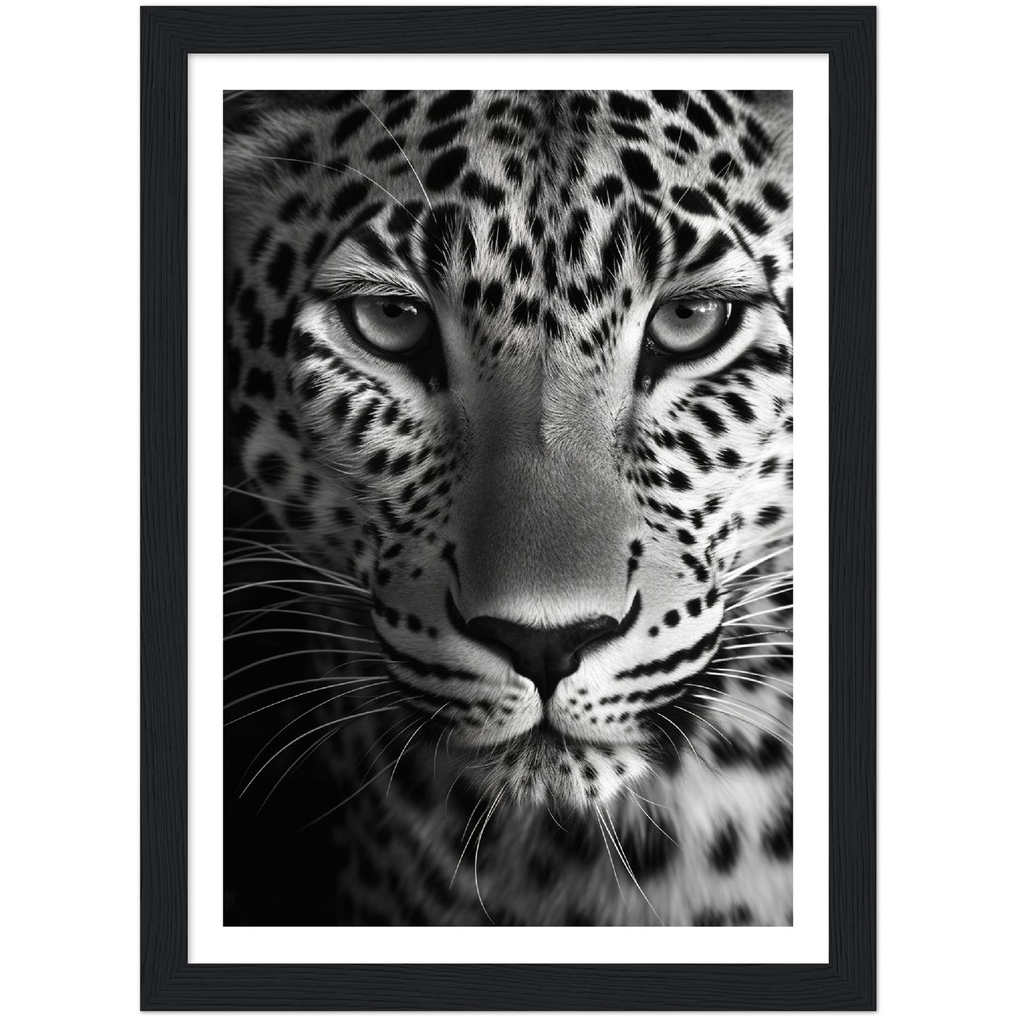 Leopard's Gaze Photograph Wall Art Print