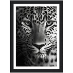 Load image into Gallery viewer, Leopard&#39;s Gaze Photograph Wall Art Print
