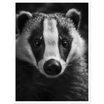 Load image into Gallery viewer, Badger Photograph Wall Art Print