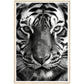 Wild Gaze: Tiger Close-Up Photograph Wall Art Print