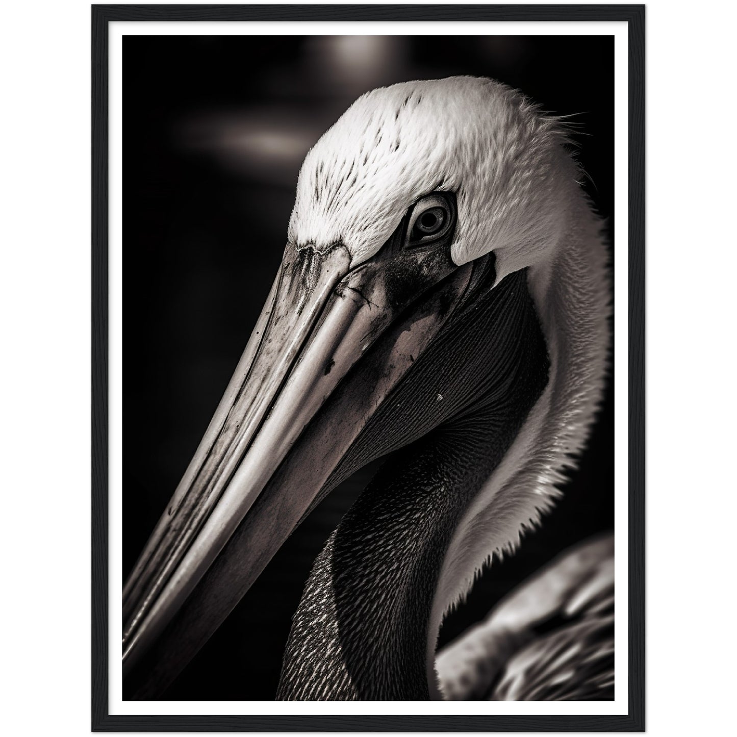 Close-up Pelican Photograph Wall Art Print