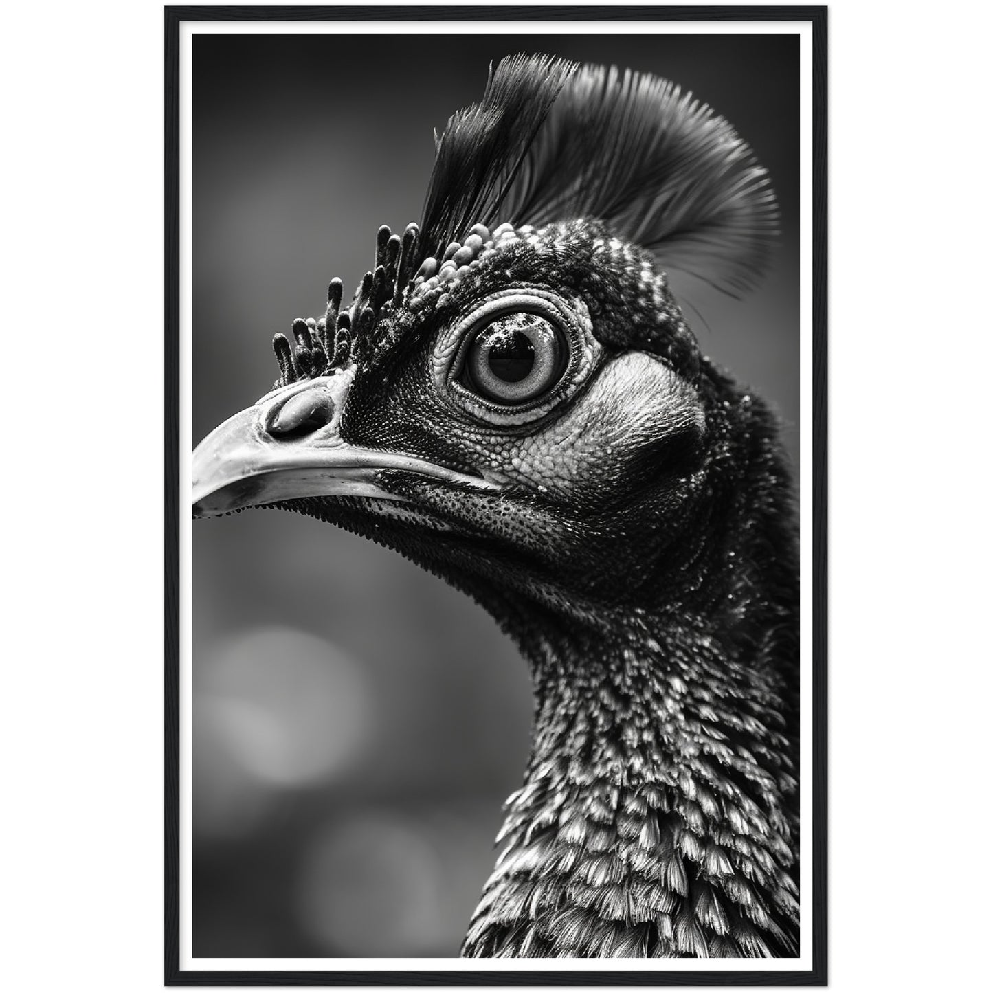 Peacock Perfection Photograph Wall Art Print