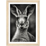 Load image into Gallery viewer, Kangaroo Close-Up Photograph Wall Art Print
