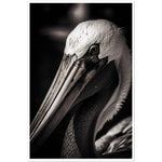 Load image into Gallery viewer, Close-up Pelican Photograph Wall Art Print