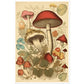 Whimsical Fungi - Vintage Botanical Wall Art Print