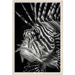 Load image into Gallery viewer, Regal Fins: Lionfish Close-Up
