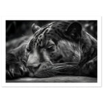 Load image into Gallery viewer, Serene Sleeping Panther