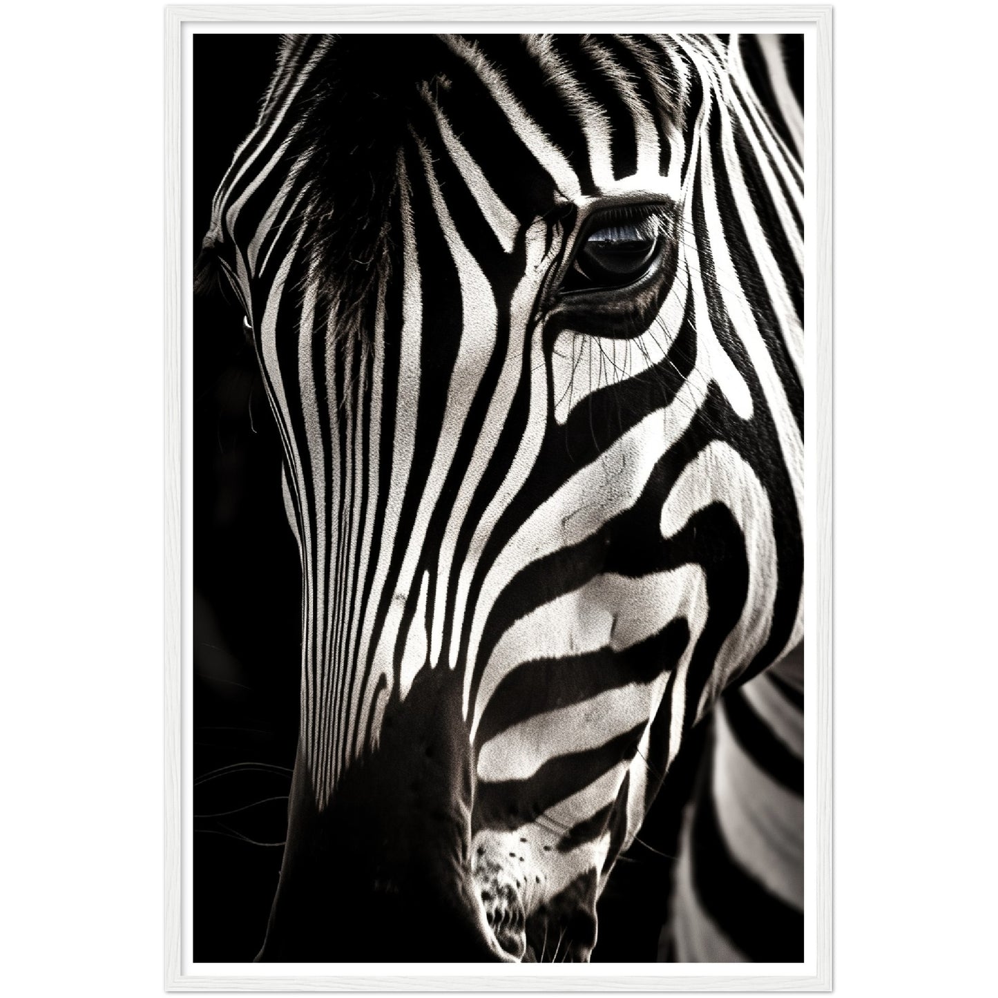 Close-up Zebra Photograph Wall Art Print