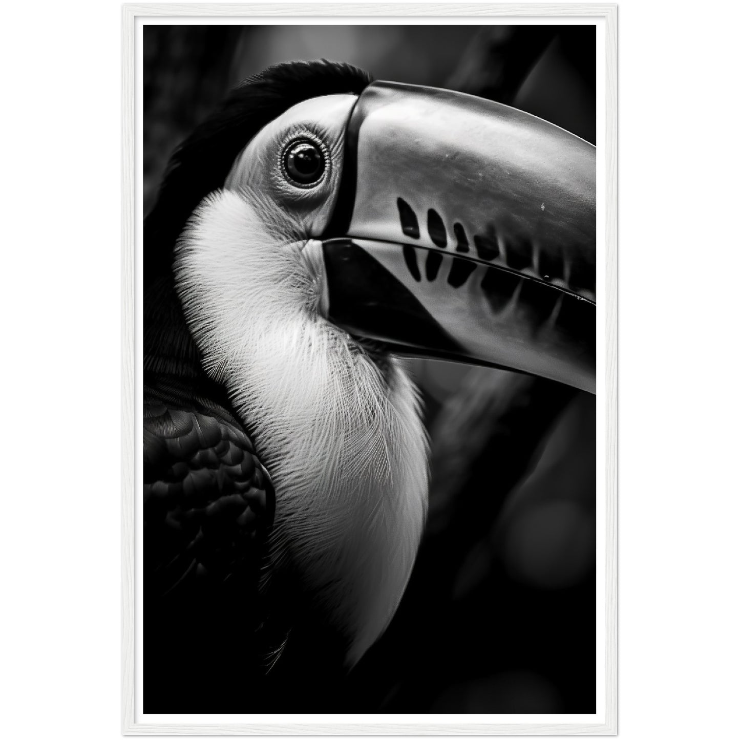 Toucan's Gaze Photograph Wall Art Print