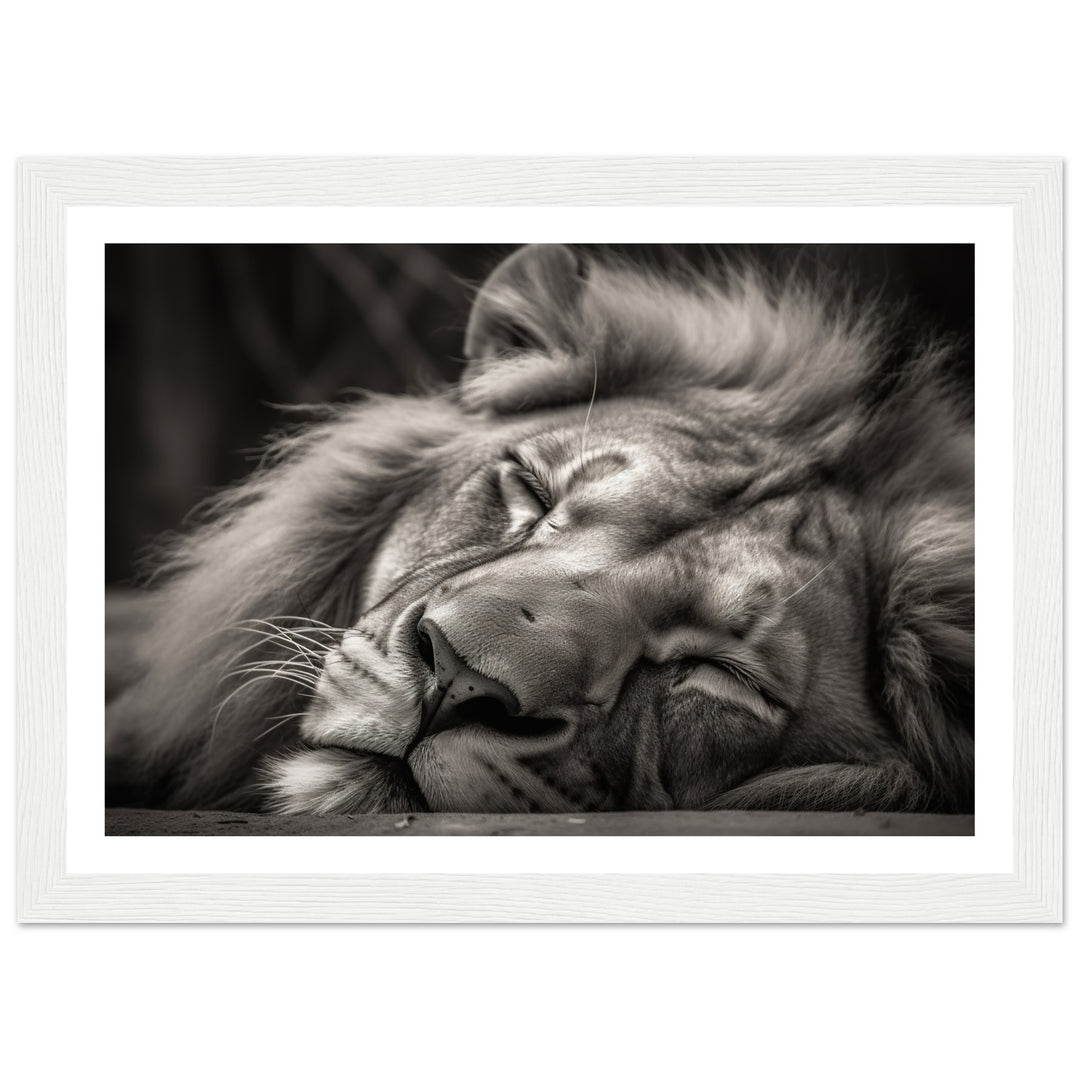 Regal Rest - Serene Sleeping Lion