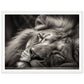 Regal Rest - Serene Sleeping Lion Photography