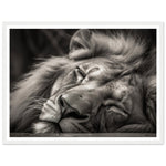 Load image into Gallery viewer, Regal Rest - Serene Sleeping Lion