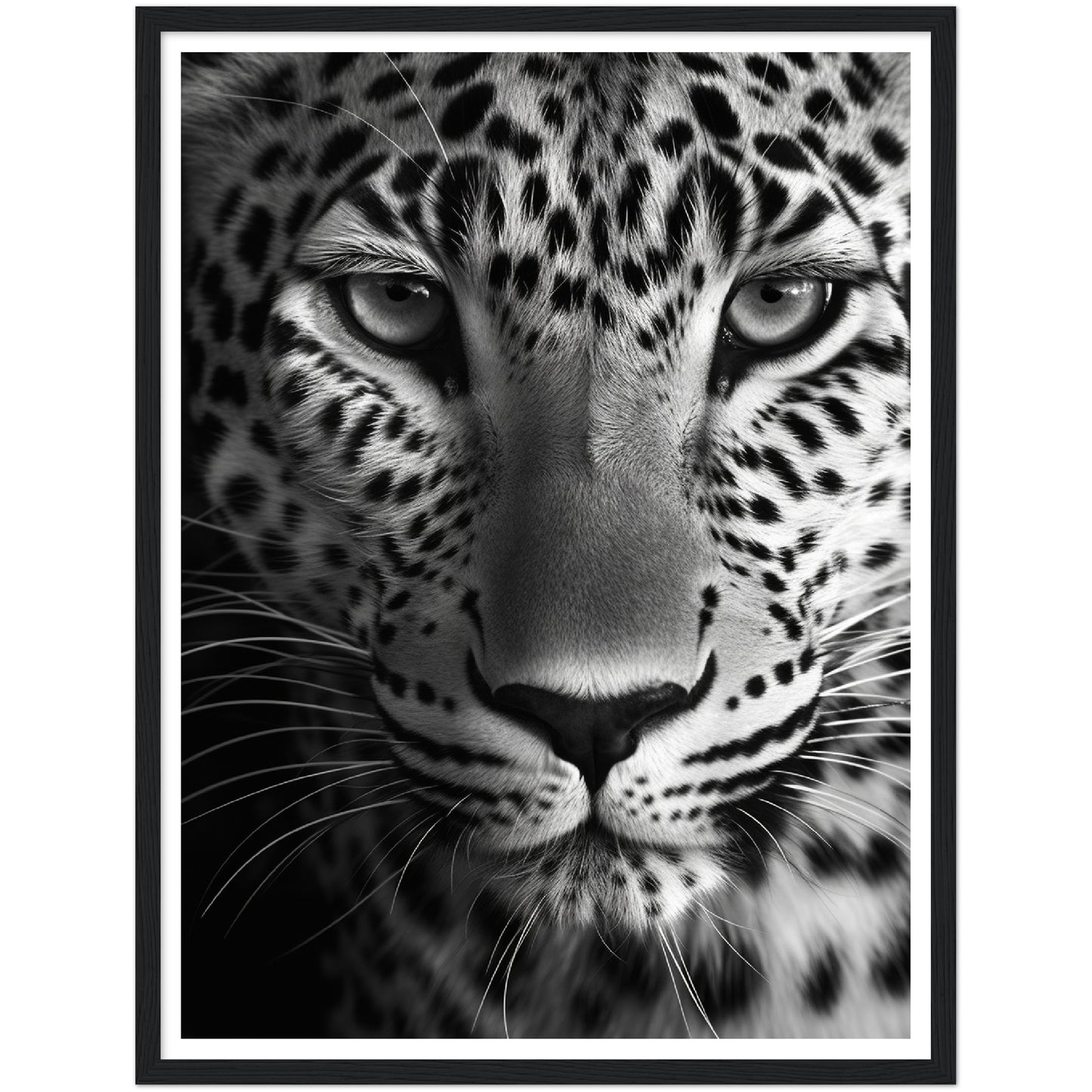 Leopard's Gaze Photograph Wall Art Print