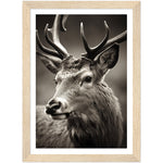 Load image into Gallery viewer, Regal Stag Close-Up