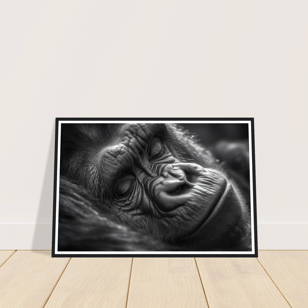 Close-Up of Sleeping Gorilla Photograph Wall Art Print