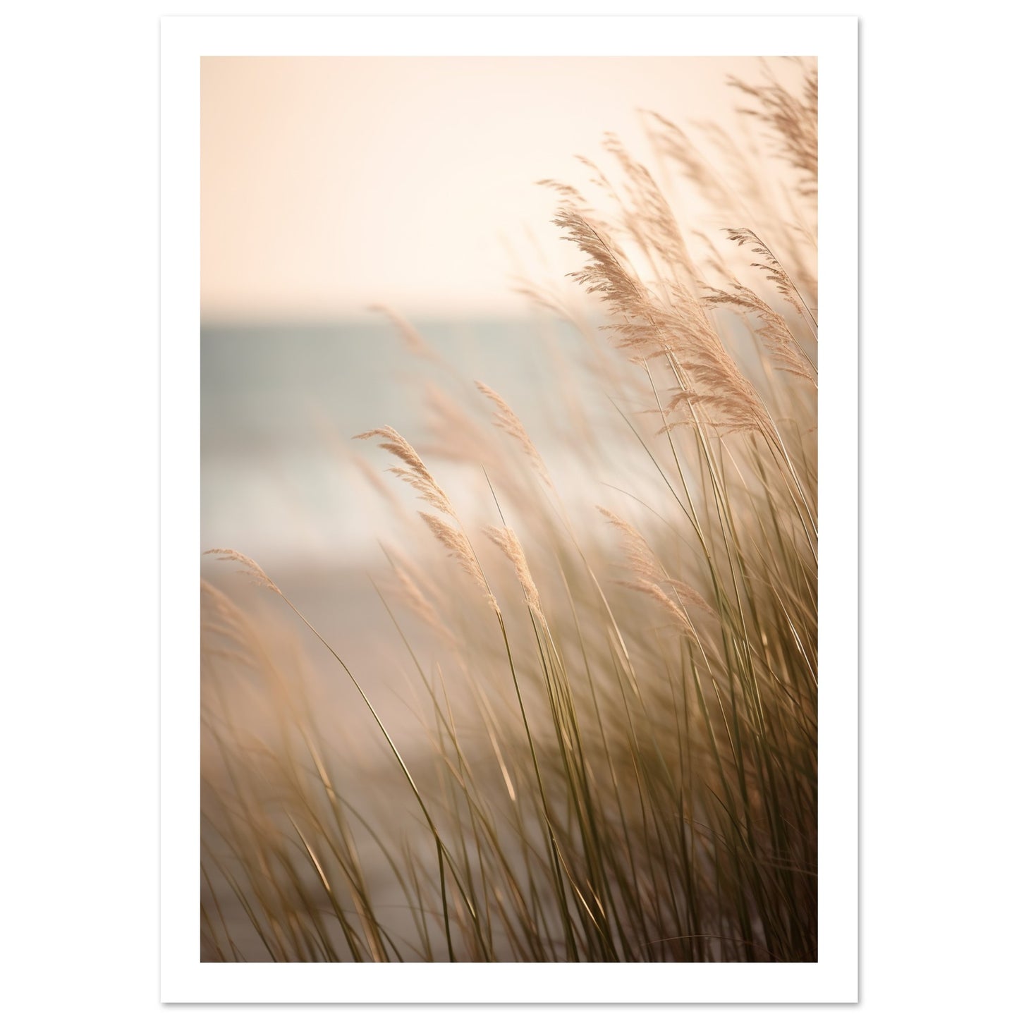 Hazy Beach Grass Close-Up Photograph Wall Art Print