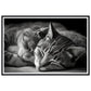 Tranquil Duo - Sleeping Cats Photograph Wall Art Print