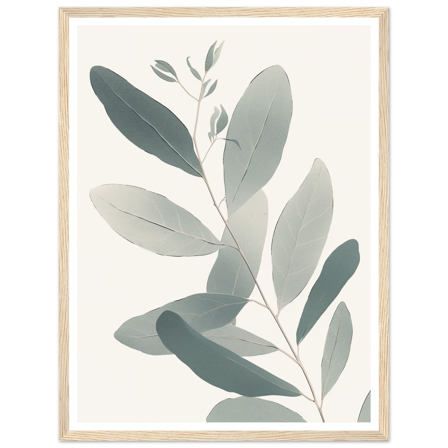 Soft Colored Eucalyptus Illustration