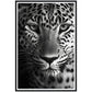 Leopard's Gaze Photograph Wall Art Print