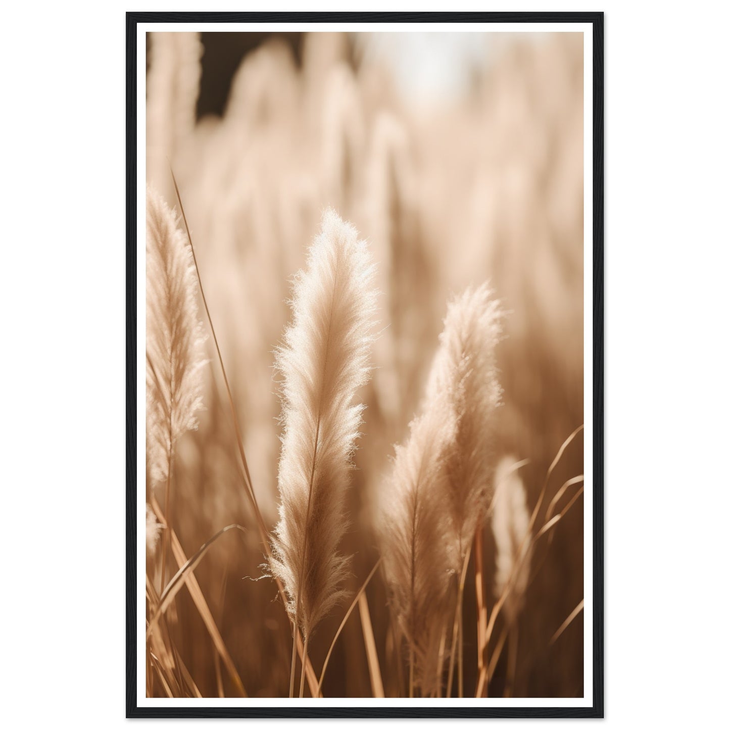 Hazy Pampas Close-Up Photograph Wall Art Print