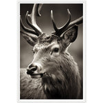 Load image into Gallery viewer, Regal Stag Close-Up
