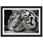 Load image into Gallery viewer, Serene Sleeping Tiger