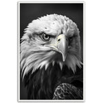 Load image into Gallery viewer, Regal Eagle: Close-Up
