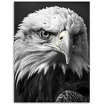 Load image into Gallery viewer, Regal Eagle: Close-Up