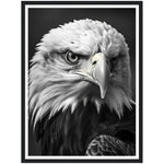 Load image into Gallery viewer, Regal Eagle: Close-Up
