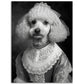 Poodle Bride Victorian Animal Portraiture Wall Art Print